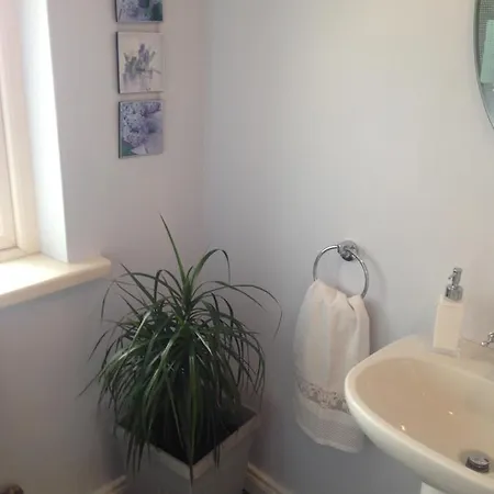 Glaslough Ramblers Rest 度假居 莫纳汉