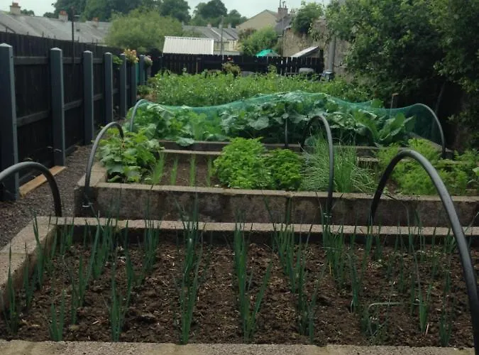 Feriehus Glaslough Ramblers Rest Monaghan