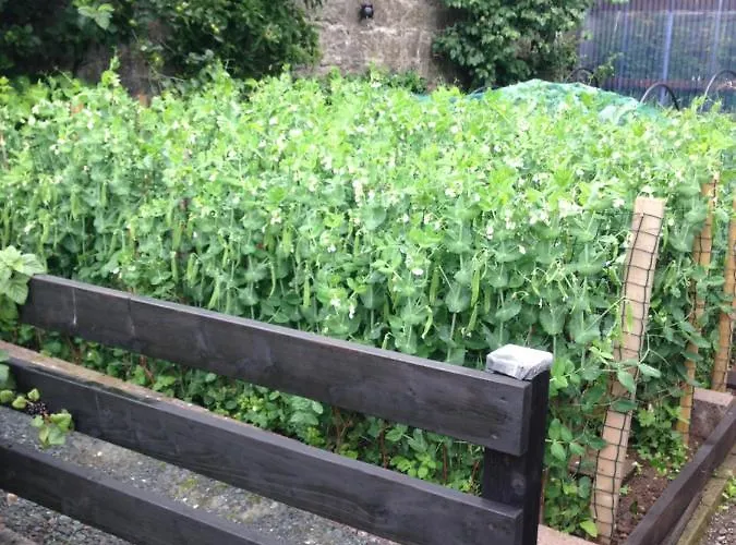 Glaslough Ramblers Rest Dom wakacyjny