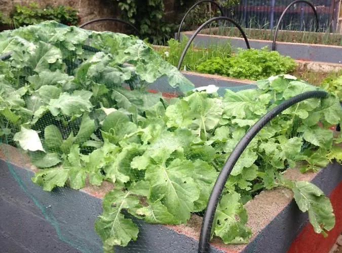 Glaslough Ramblers Rest Monaghan